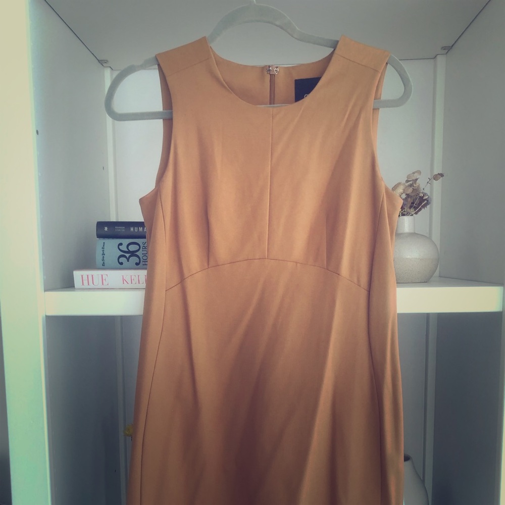 Classic camel shift dress (Asos)